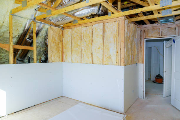 Best Eco-Friendly Insulation in Olyphant, PA