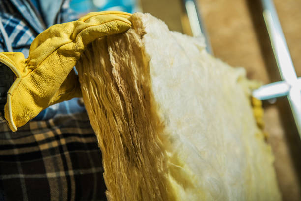 Best DIY Insulation Kits and Guidance in Olyphant, PA