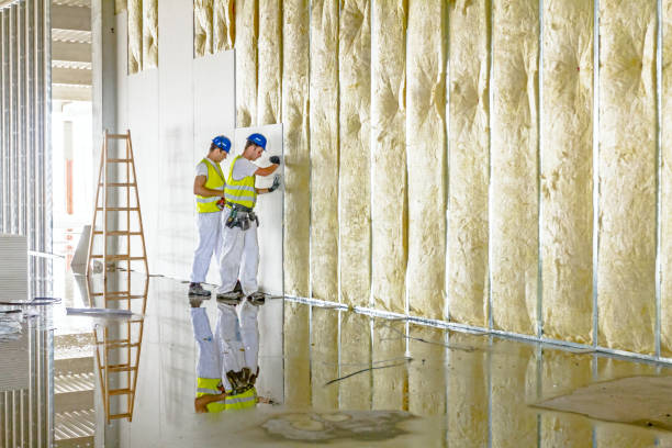 Professional Insulation Contractor in Olyphant, PA